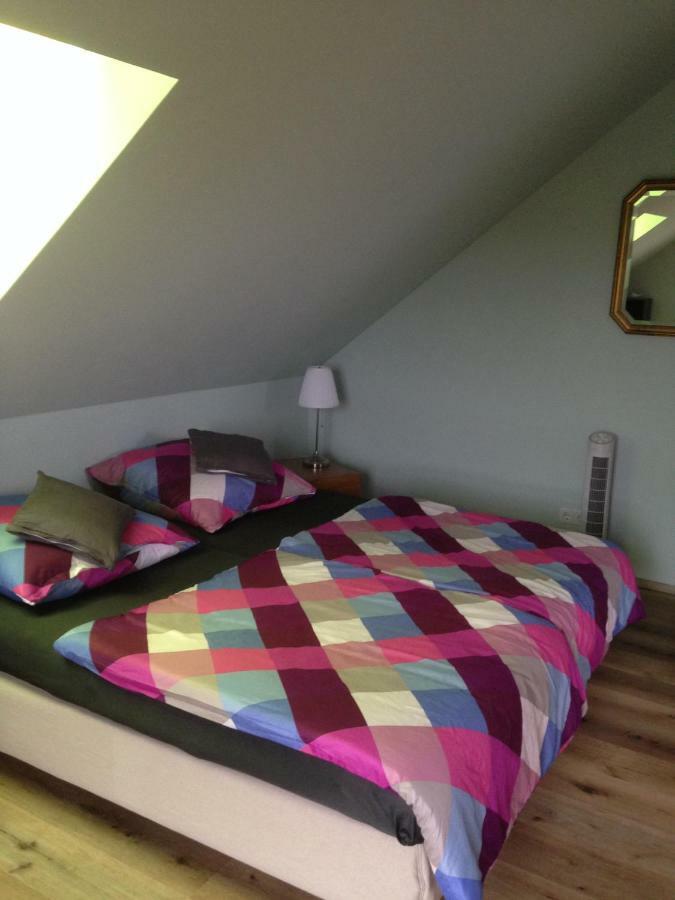 Loreley Bed And Breakfast Bornich エクステリア 写真